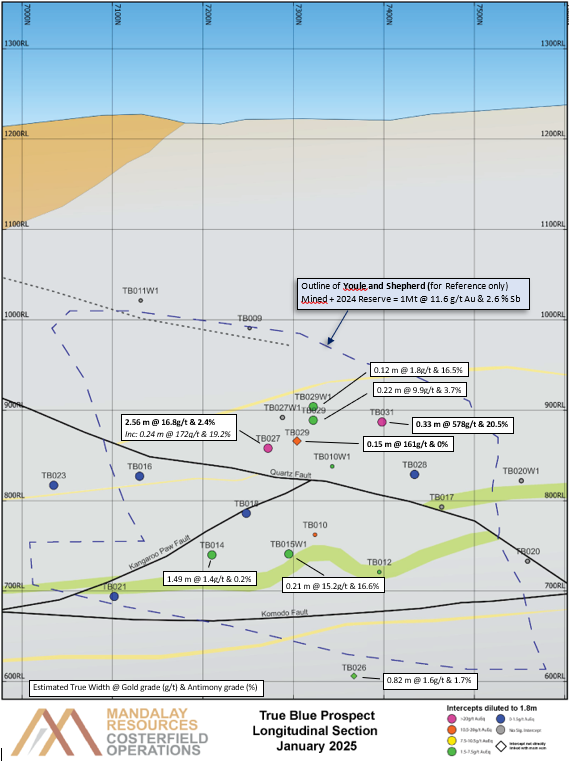 Longitudinal section of the most continuous veinset interpreted from the True Blue drilling data.