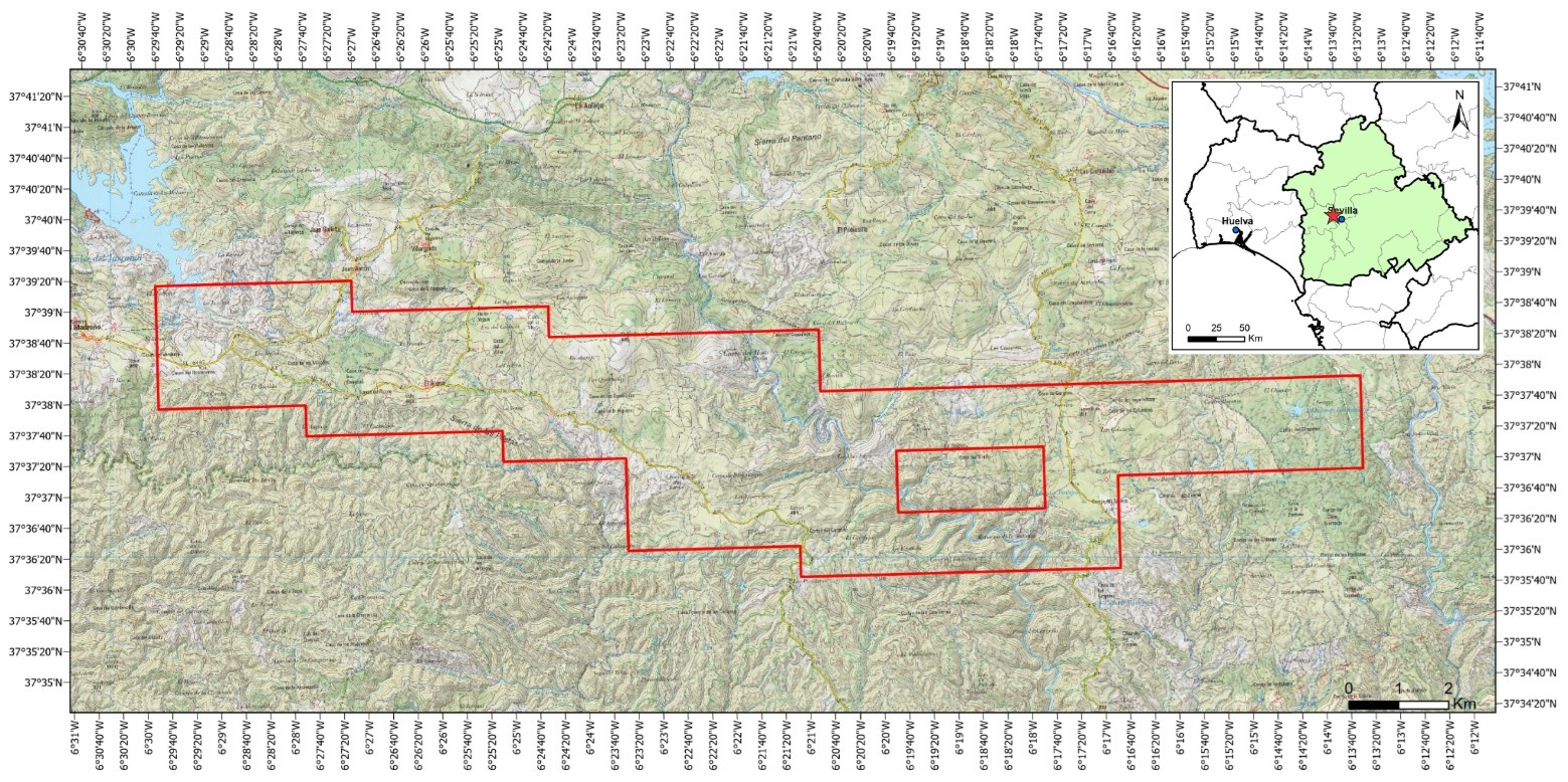 Figure 1 image