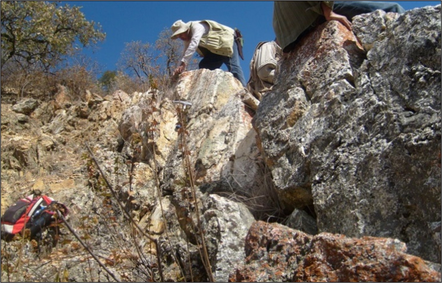 Figure 6 image