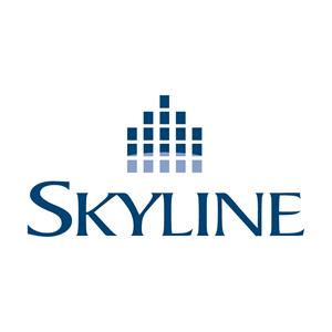 Skyline Group of Com