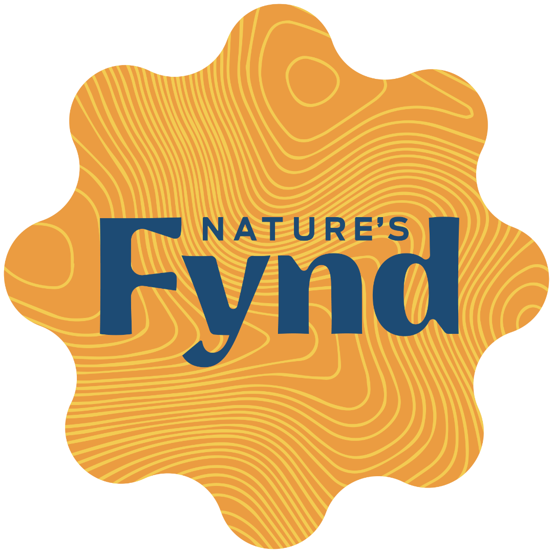 Nature’s Fynd To Debut Its Vegan Foods Made with Fy Protein at Whole Foods Market