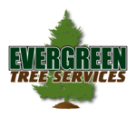 Evergreen Tree Servi