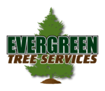 Evergreen Tree Servi
