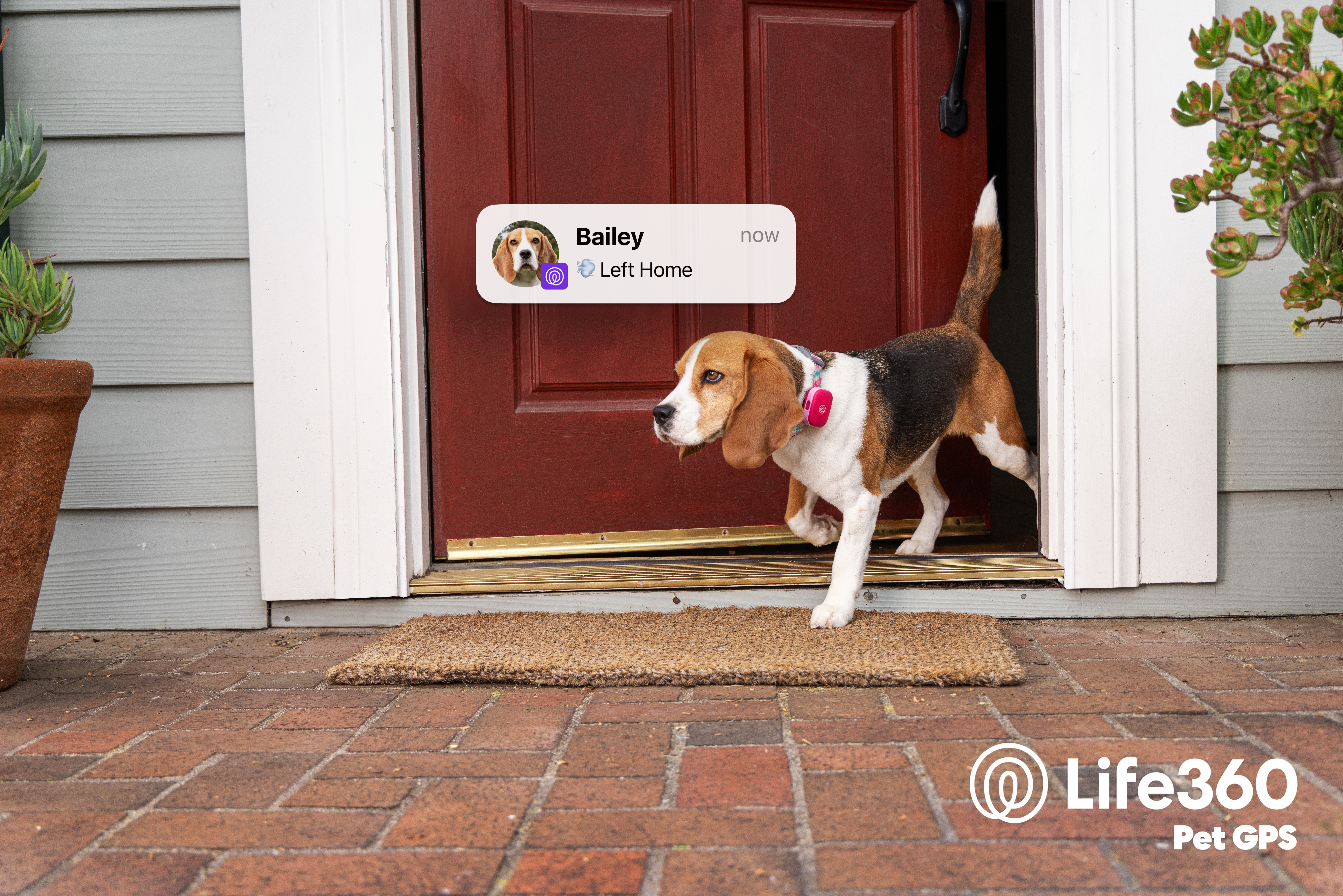 Life360 Pet GPS_ Hero