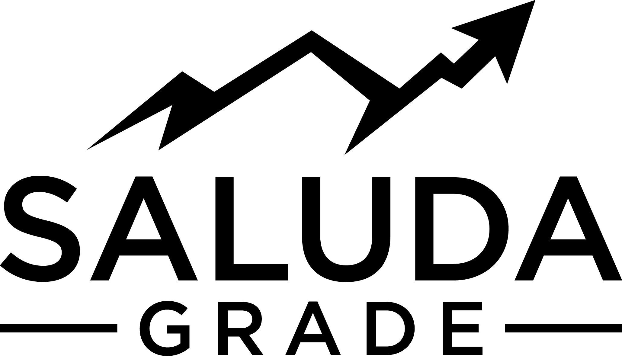 SALUDA GRADE 3A Black Transparant Background.png