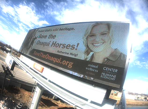 Animal Wellness Action and the Center for a Humane Economy's First Wild Horse Campaign Billboard Featuring Actress Katherine Heigl in Salt Lake City, Utah This Week | Photo Credit Jennifer Rogers, Wild Horse Photo Safaris | Design: Studio 5 USA | 