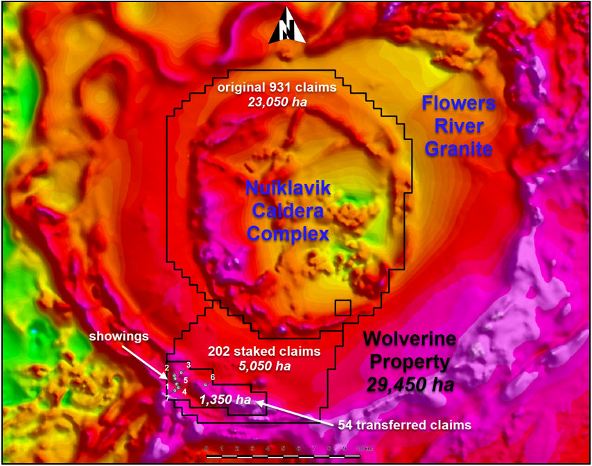 Figure 1 image