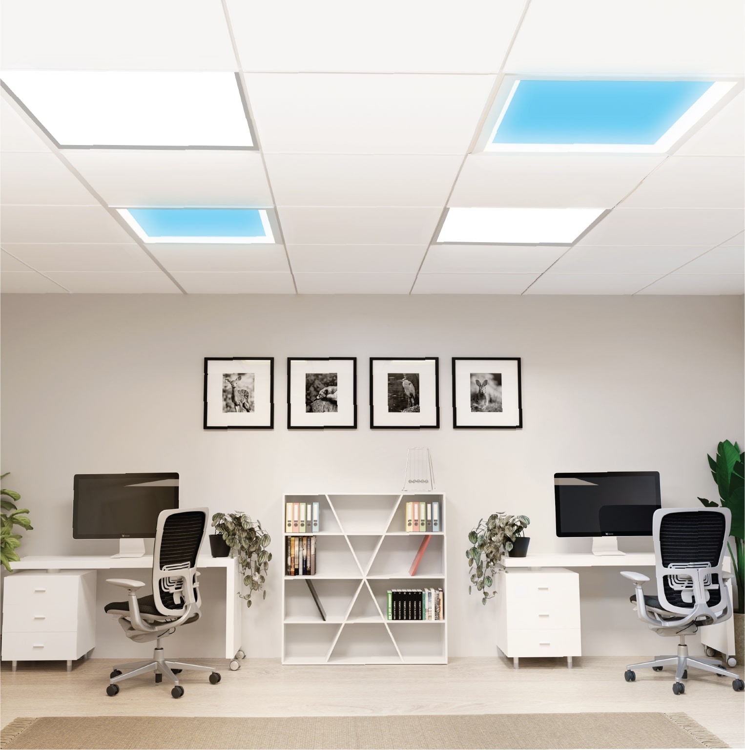 Vista Skylight LED Fixtures