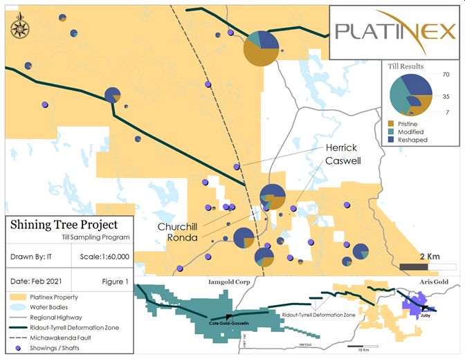 Shining Tree Project