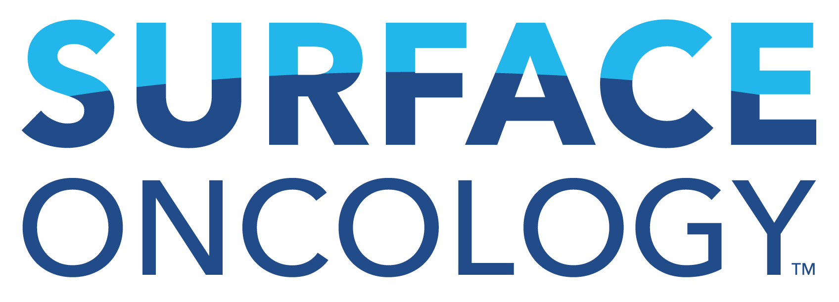 Surface Logo New Version-color.png