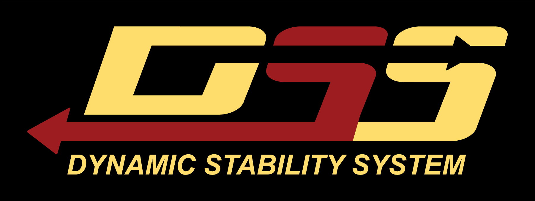 DSS Logo