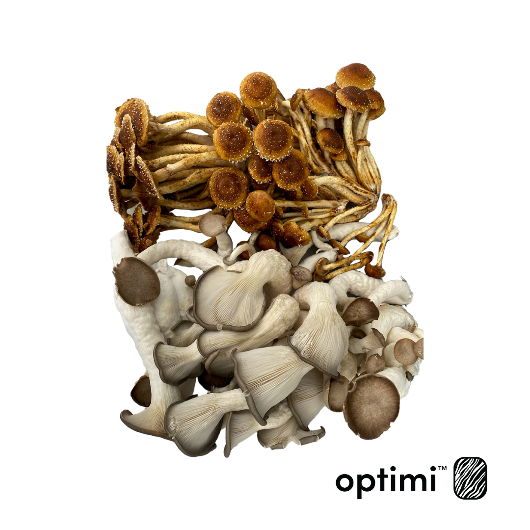 Optimi Health Shiitake & Ocean Pearl Mushrooms