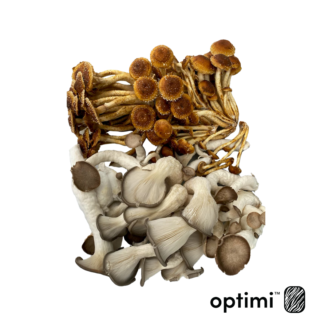 Optimi Shiitake & Ocean Pearl