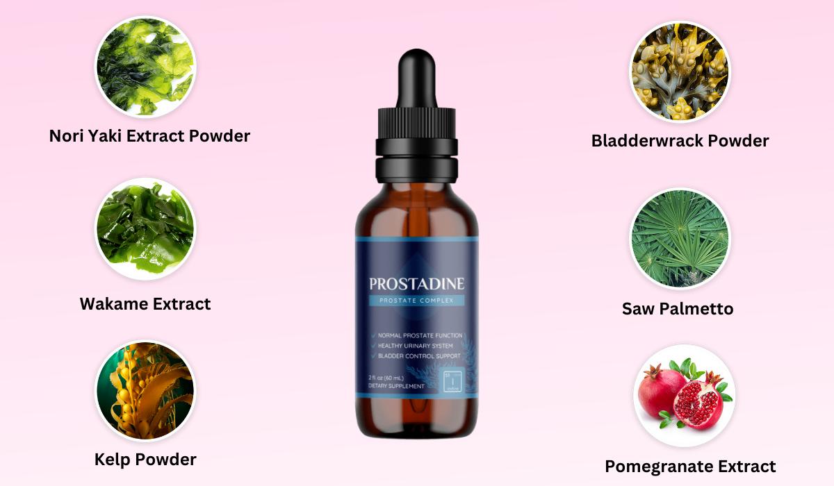 Prostadine Ingredients