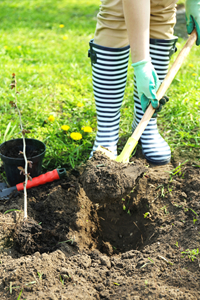 At least two business days before you put a shovel in the ground, call JULIE at 8-1-1. It's a free call and service.