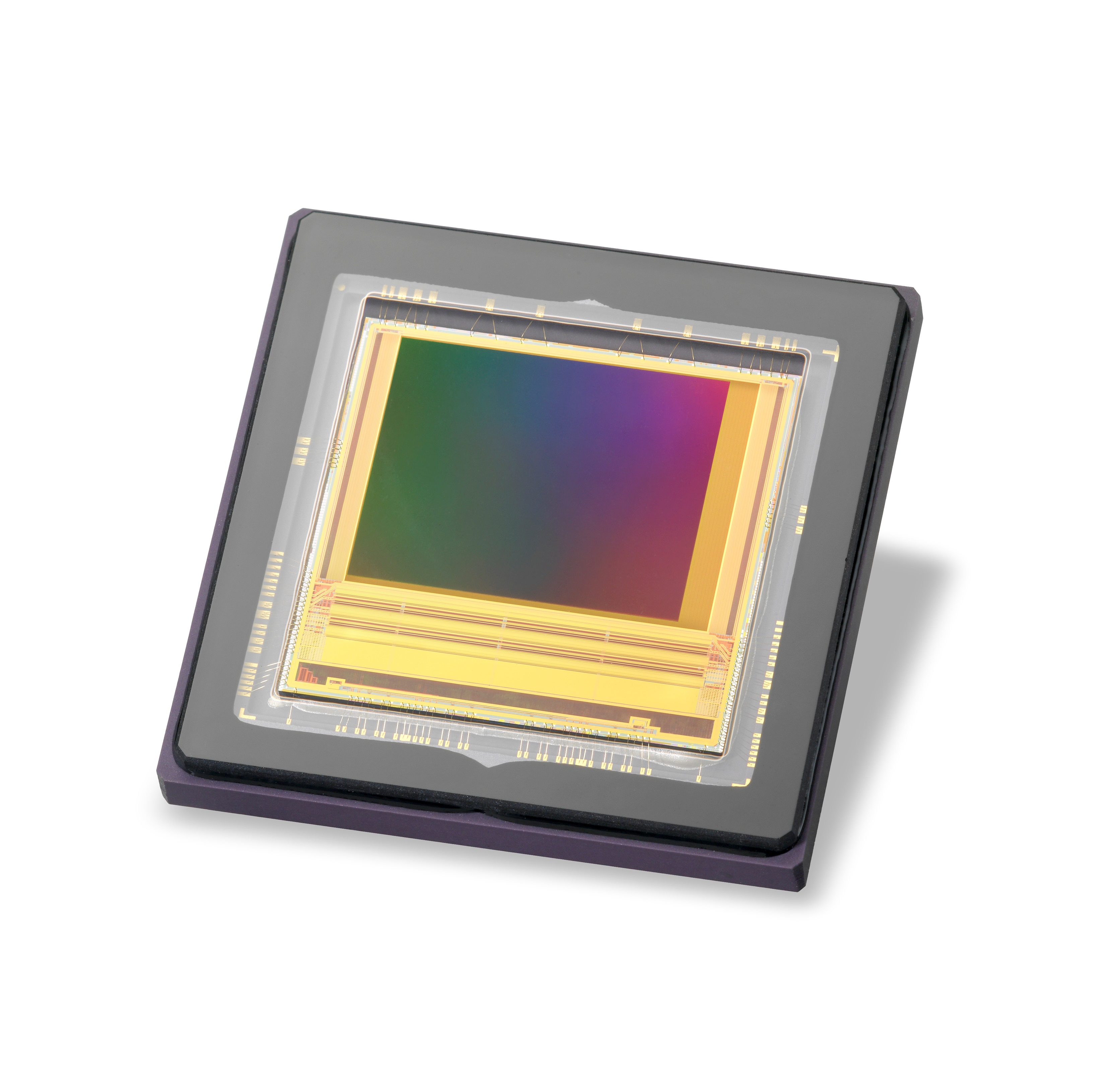 Teledyne-e2v_Bora_CMOS_sensor