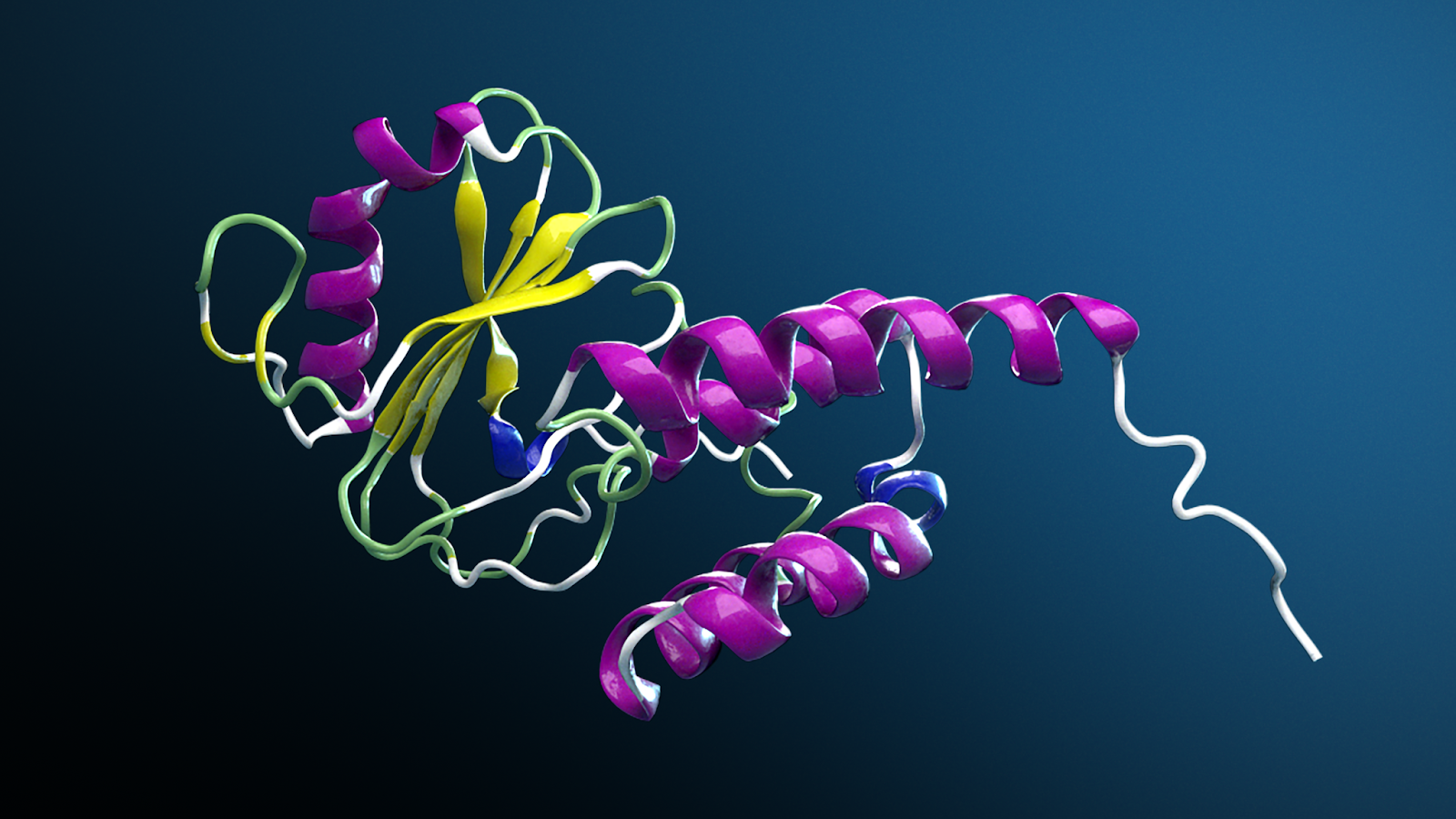 Global pharmaceutical and techbio industry leaders are adopting the open-source NVIDIA BioNeMo Framework for drug discovery.