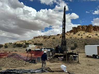 Figure 1 image