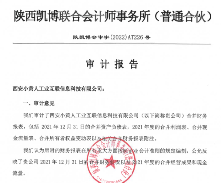 China GAPP Audit Report