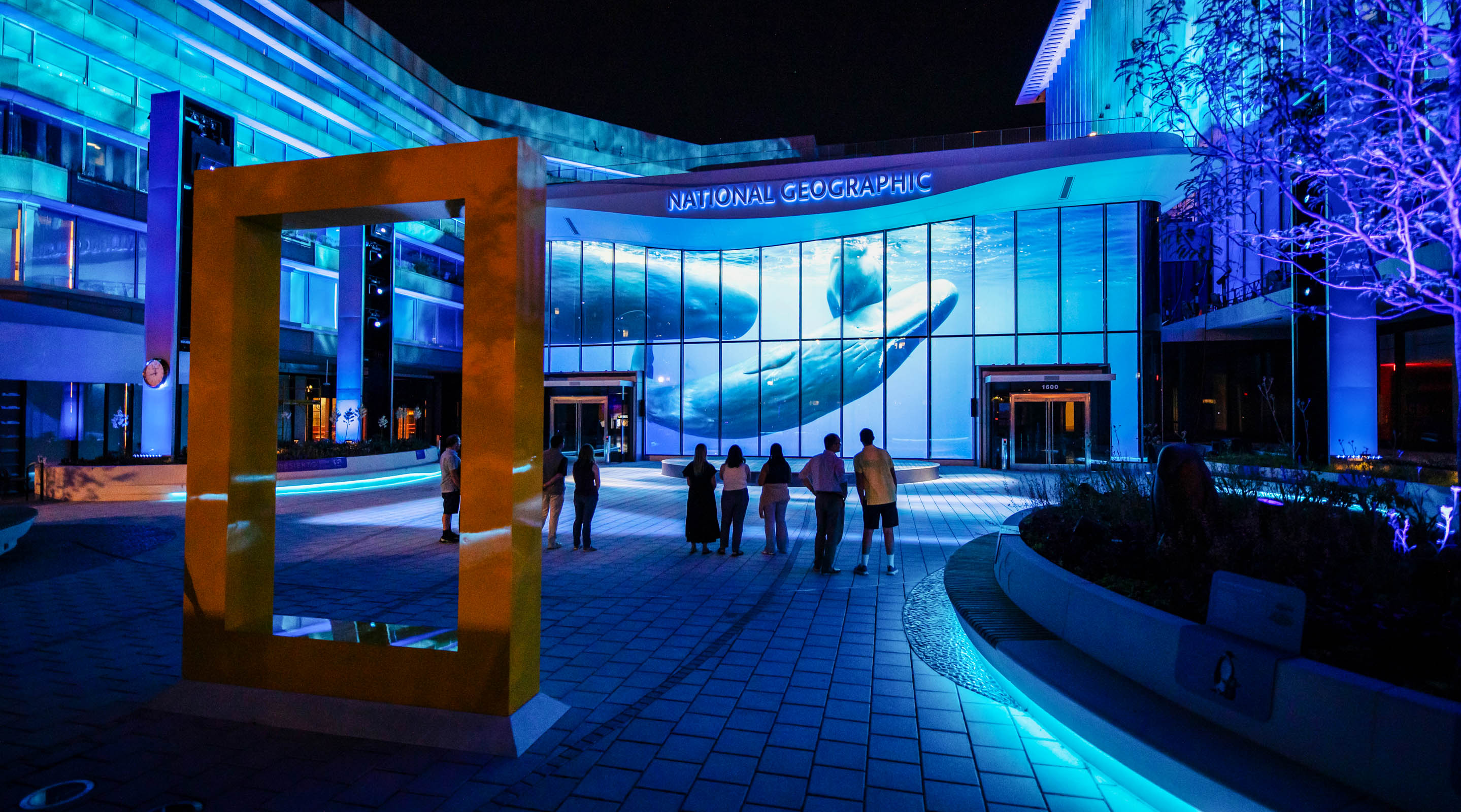 National Geographic Museum Of Exploration, Wonders Of Our World_ Ocean, Moment Factory_02