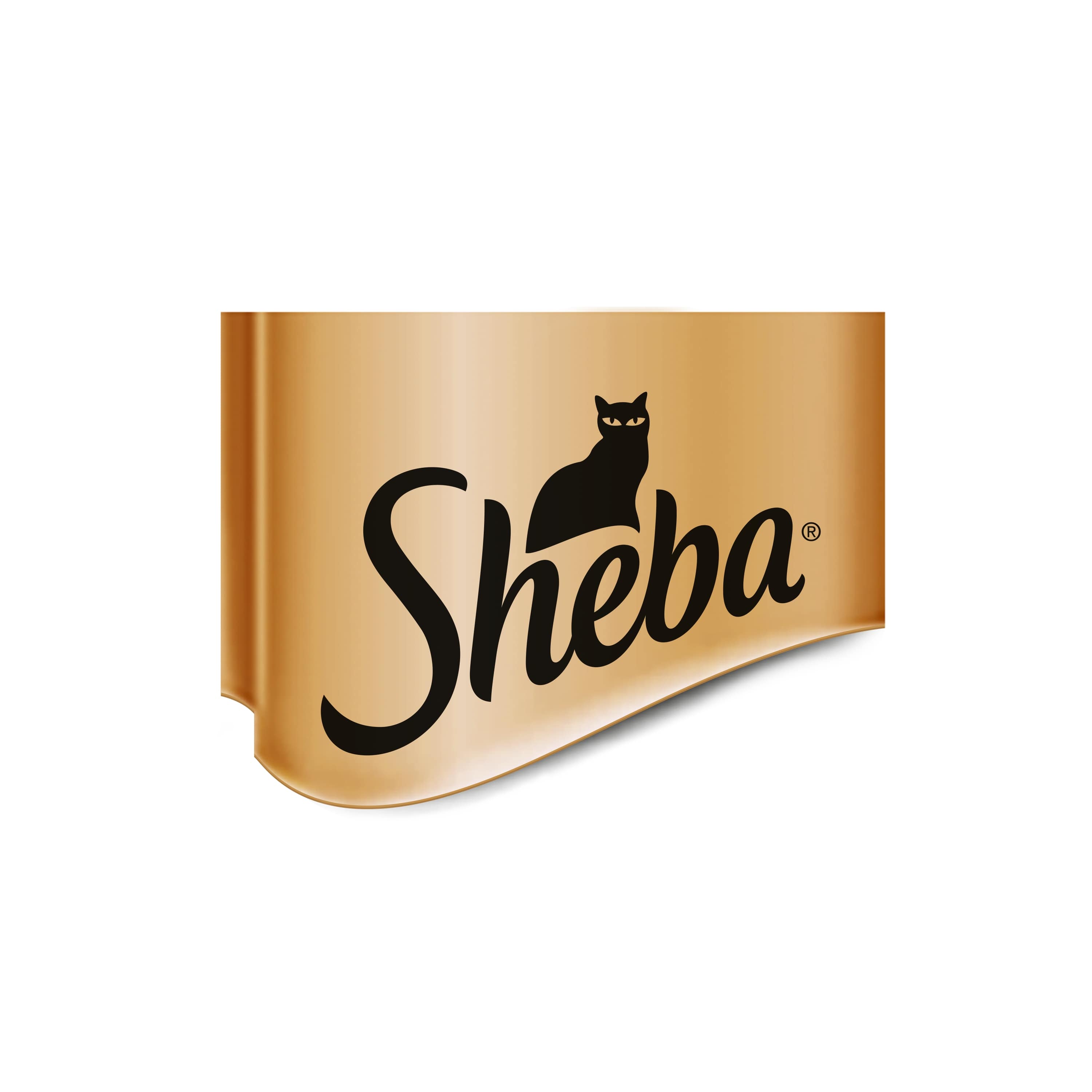 logo_sheba (1).jpg