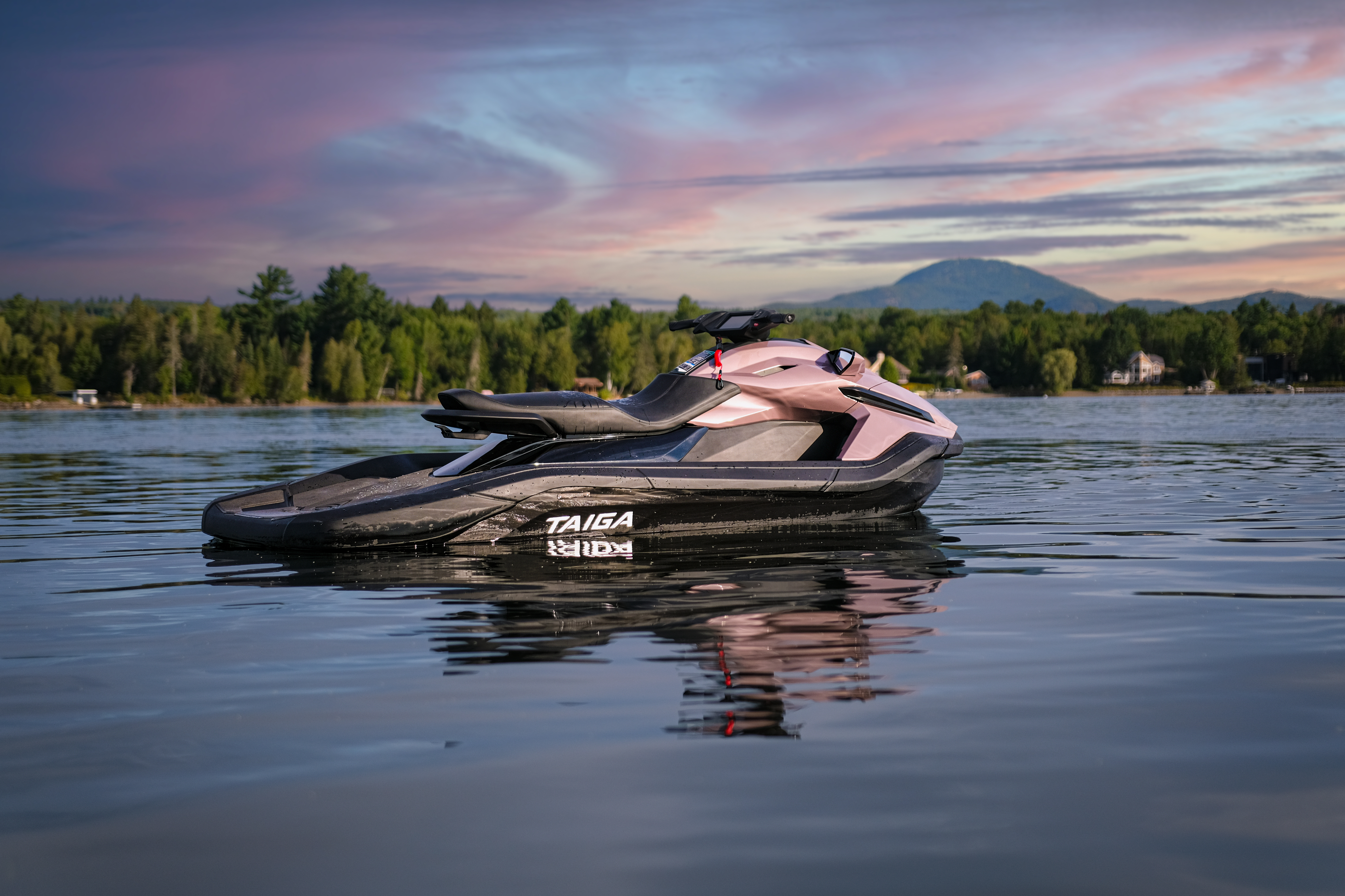 Orca on the Lake