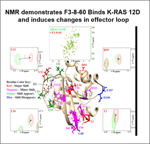 NMR studies demonstrate F3-8-60 binds K-RaS12D and promotes changes in effector domain structure.