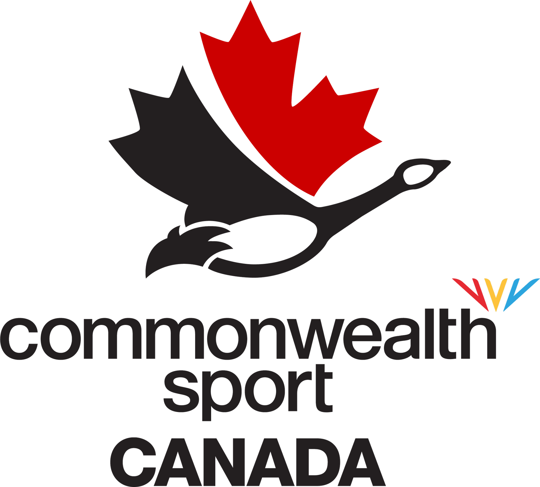 Staff Canada’s Athletes Head to the Commonwealth Video games in