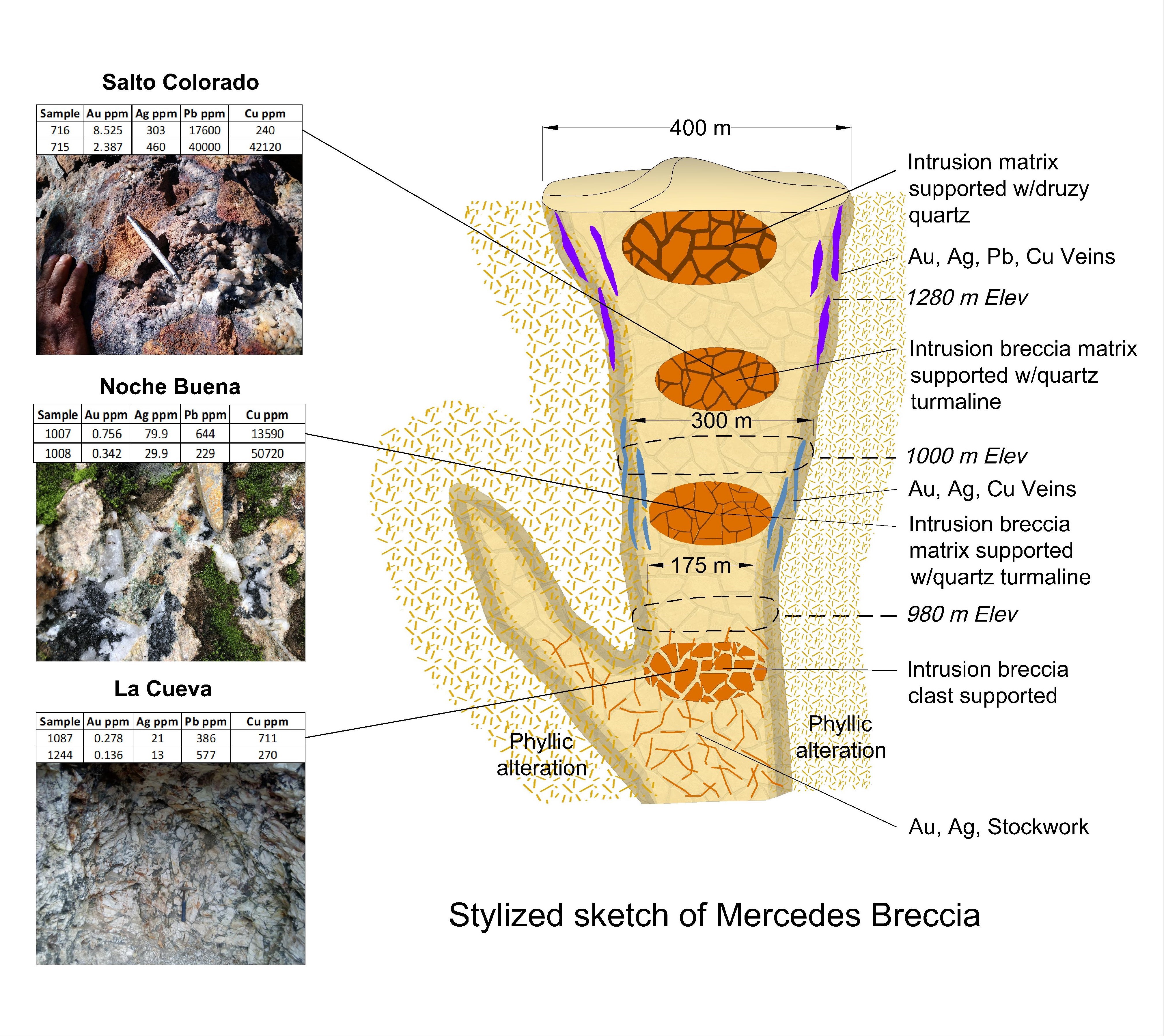 Figure 4: Stylized sketch of Mercedes Breccia