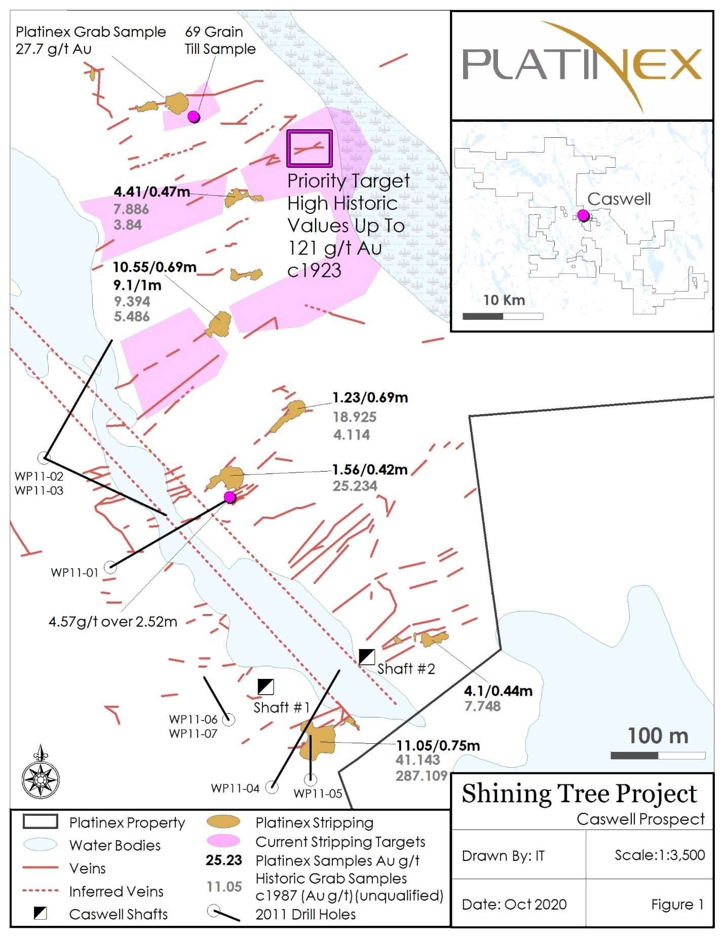 Shining Tree Project, Caswell Prospect