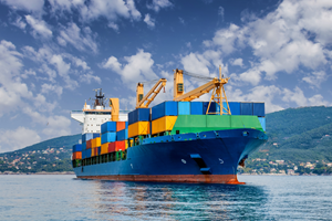 Shippabo Supply Chain Management