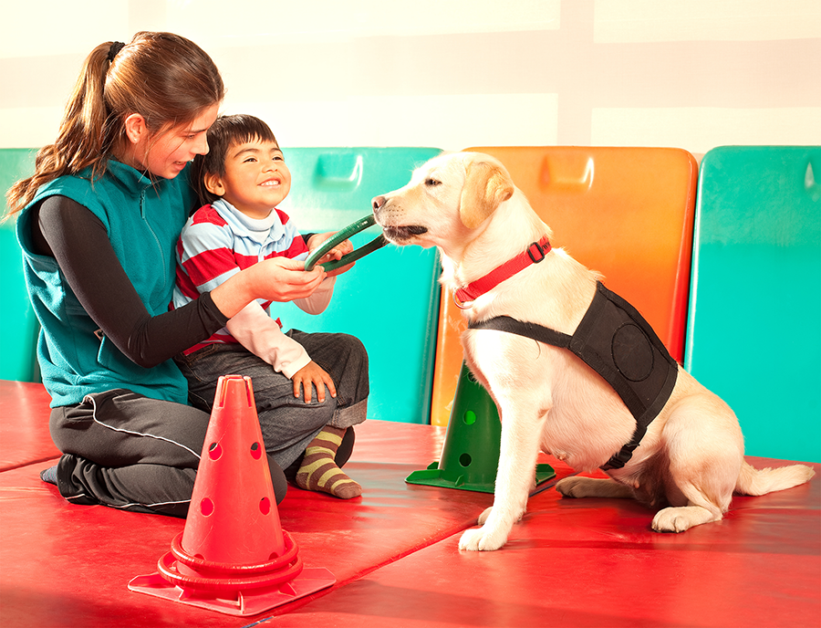 Image of a professional interaction with a therapy dog