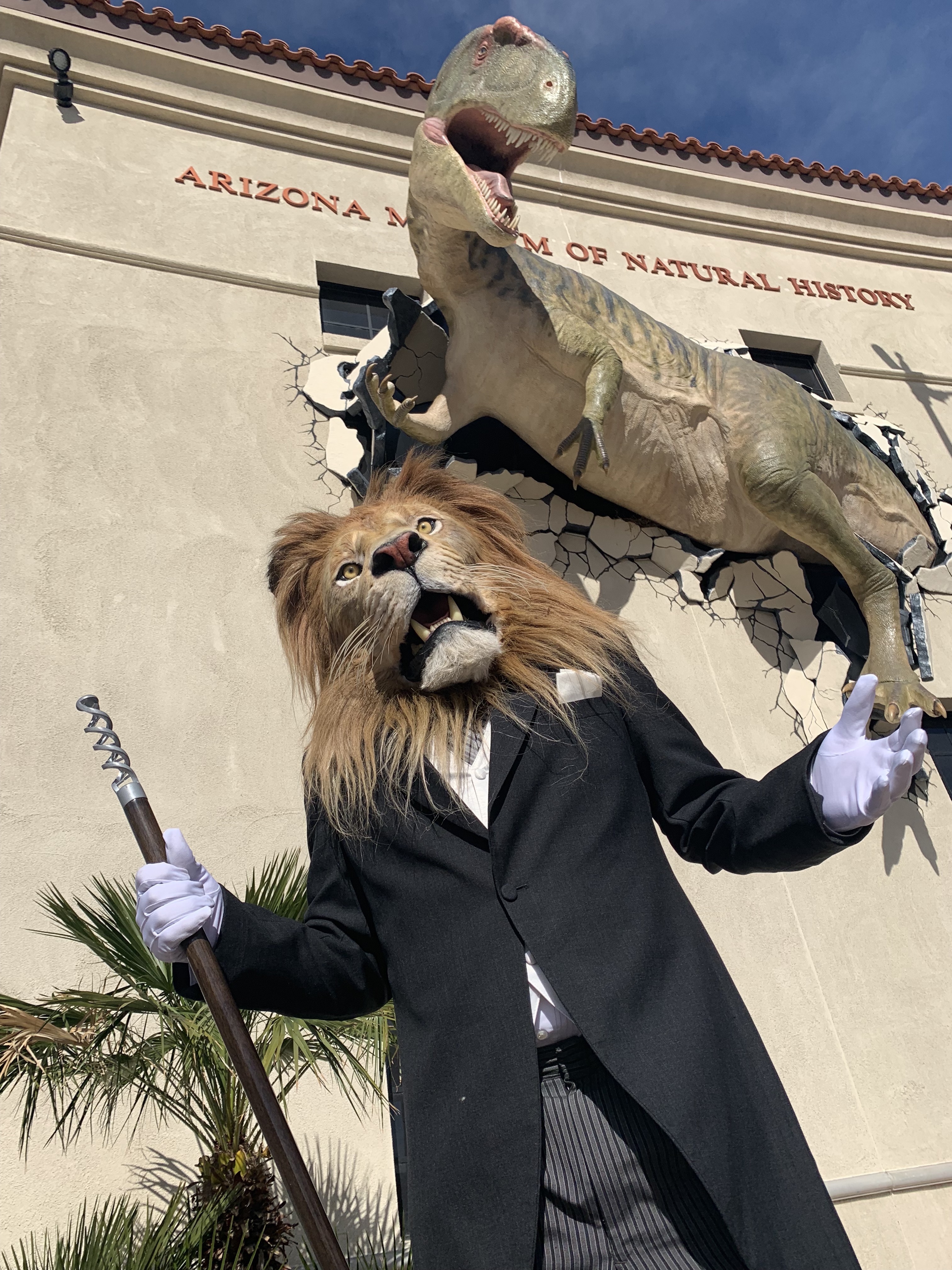 Darwin Brands Lion at Arizona Museum of Natural History @darwinbrands