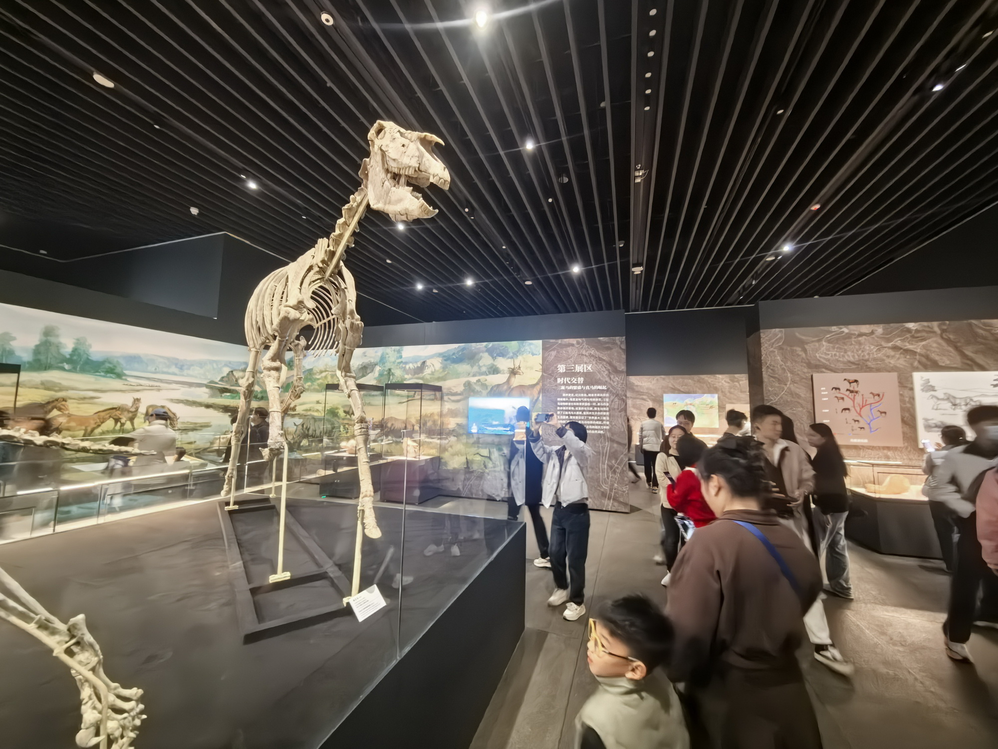 Gansu Hezheng's Rare Fossils Debut in Shenzhen