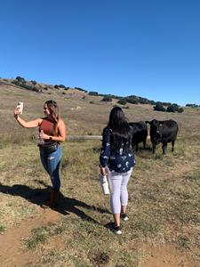 California Beef Council Ranch Tour