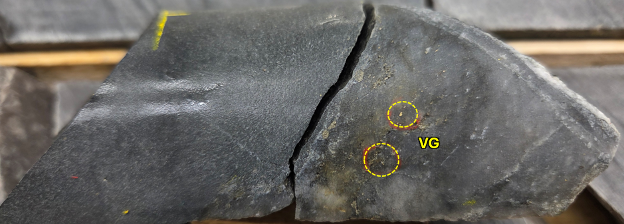 Figure 2. Multiple instances of visible gold in hole RLG-25-190 within a sheared smoky quartz vein. Drill core is HQ (63.5mm) diameter. image
