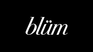 blum-logo-pr-1.jpg