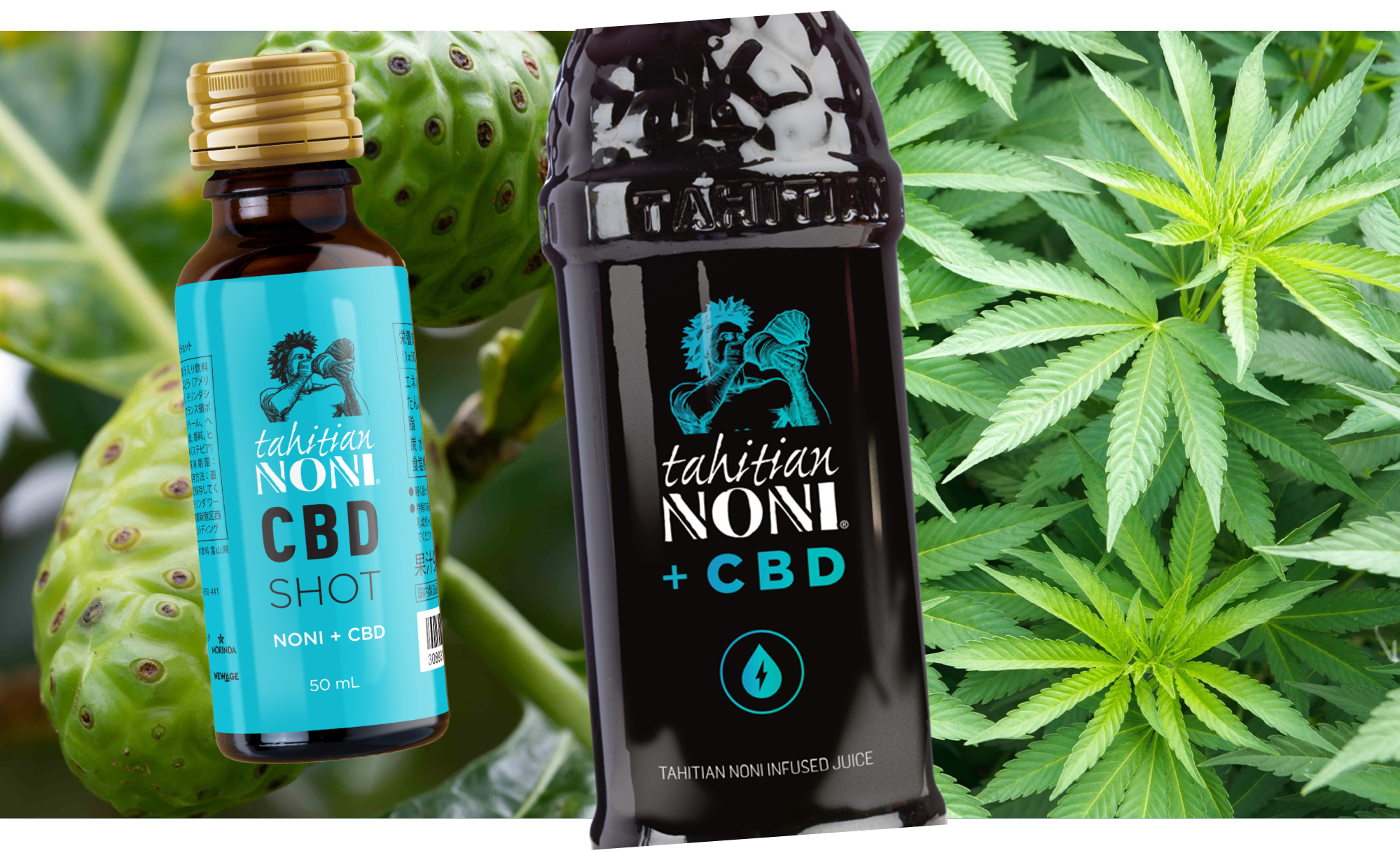 NewAge Launches Noni+CBD in Japan