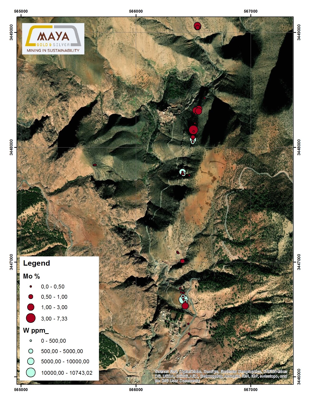 The distribution of samples showing Mo (%) and W (ppm) at Azegour property.