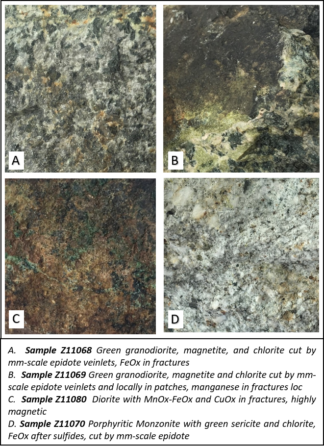 Plate 1