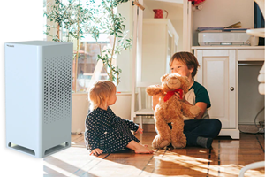 City M, a Medical-Grade Air Purifier for American Households, Small Businesses, Homeschools