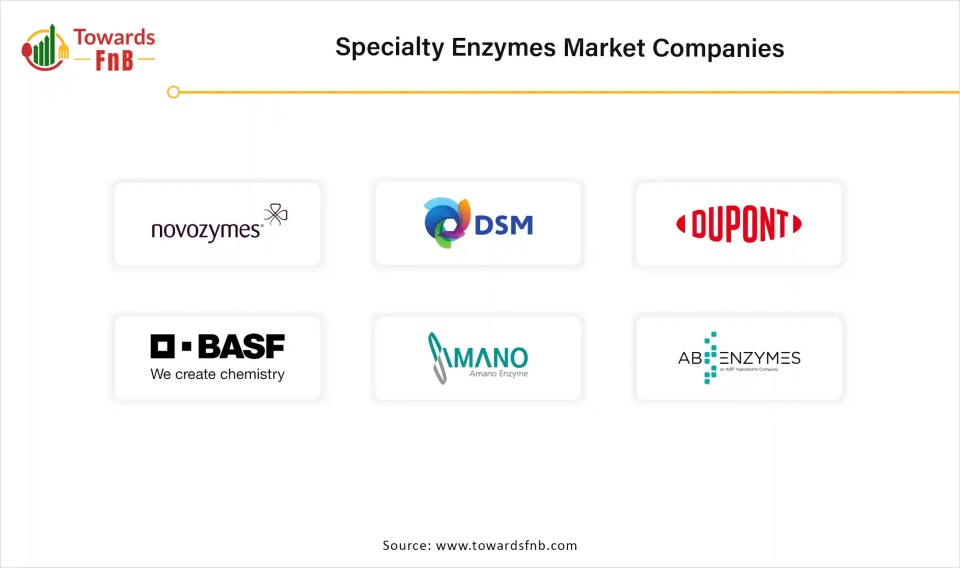 Specialty Enzymes Market Size to Exceed USD 14.08 Billion by 2034 | Towards FnB