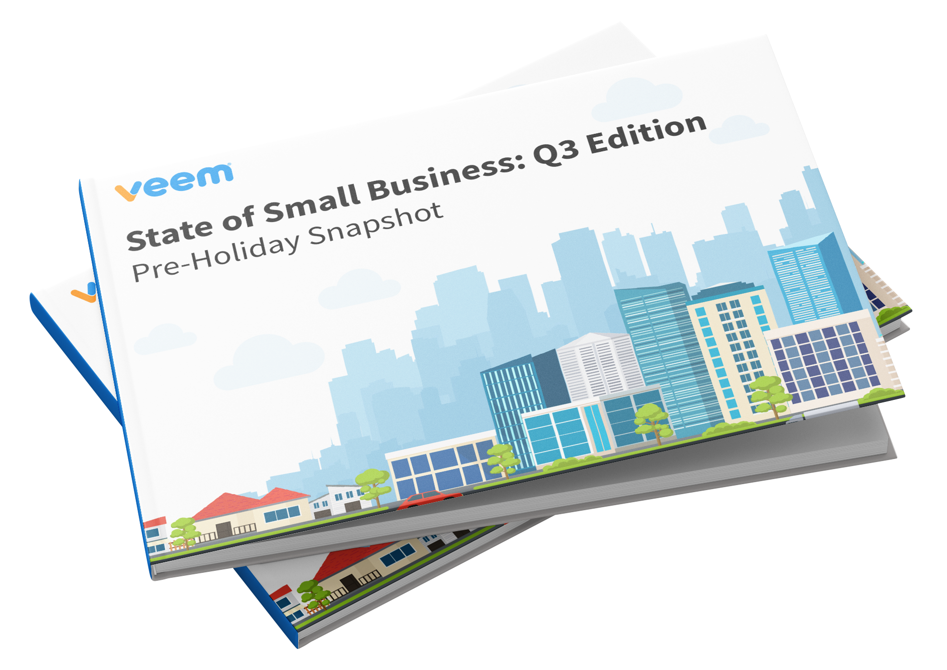 Veem survey finds 53% of US small businesses are hopeful about 2021, expecting increased economic activity thumbnail