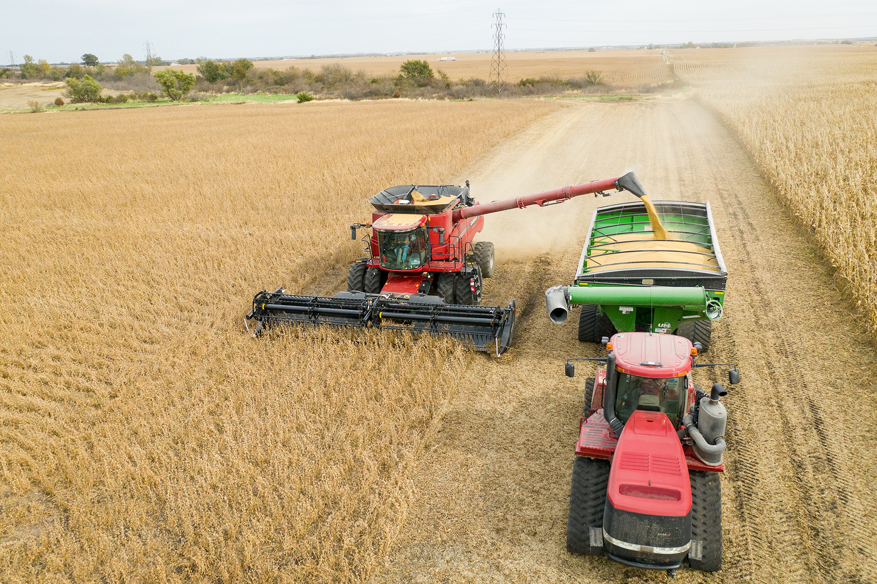 Soybean harvest