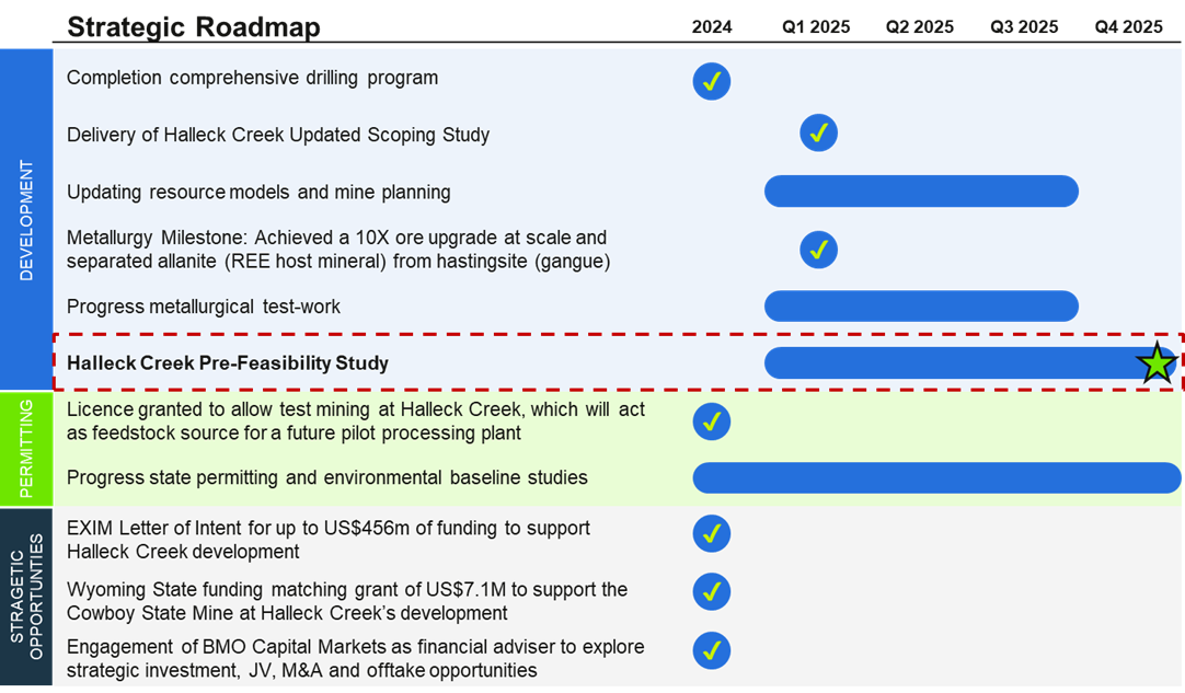 Strategic Roadmap 