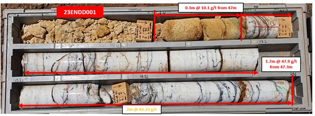 Gold mineralisation associated with the narrow quartz vein in 23ENDD001, with heavily sheared, altered hangingwall contact containing minor quartz.