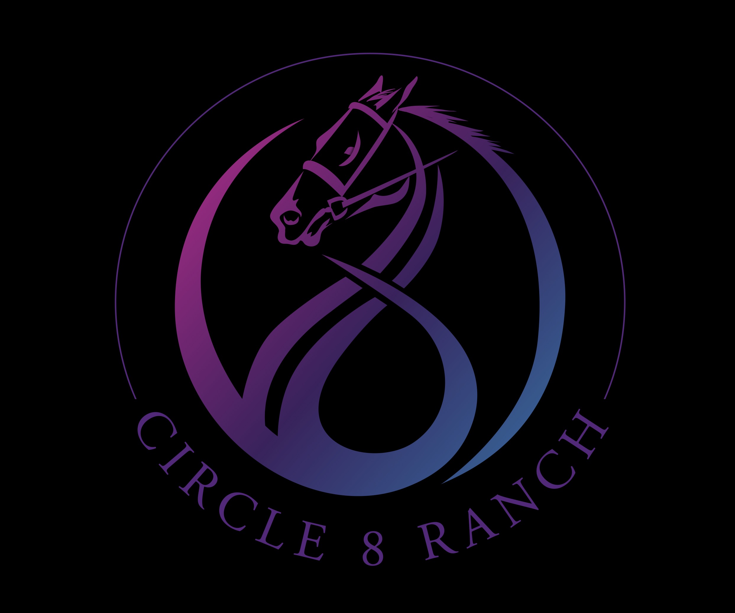 Circle 8