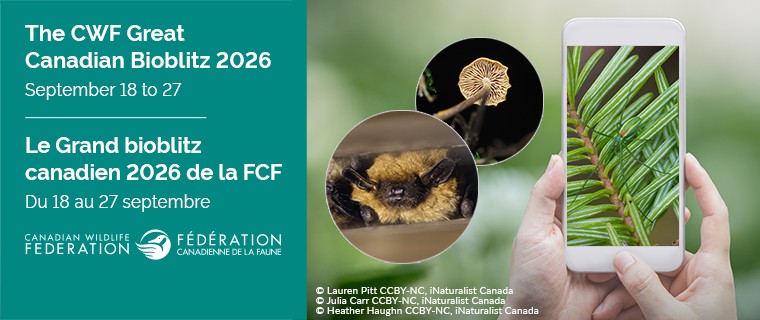 La FCF invite les Canadiens et Canadiennes à faire un inventaire de la biodiversité au pays