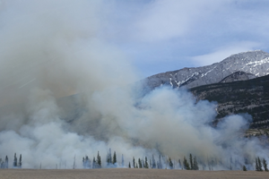 Canada Air Filtration Professionals Share Tips for Minimizing Exposure to Canadian Wildfire Smoke 