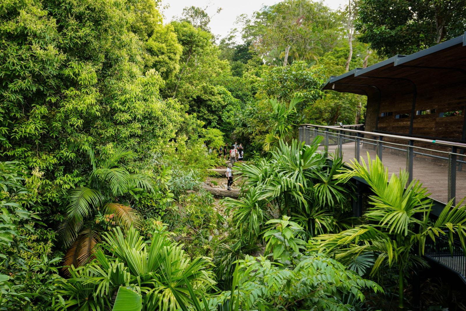 Picture - The Early Birds: Nurturing a Legacy from Dawn